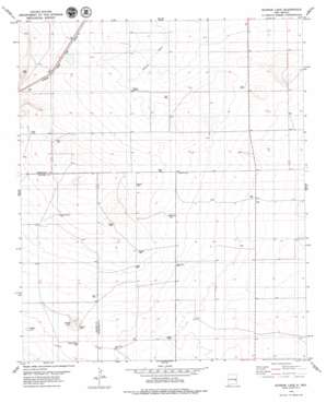 Schram Lake USGS topographic map 33103g6