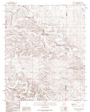 Skunk Canyon USGS topographic map 33104b8