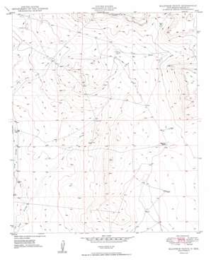 Malstrom Ranch USGS topographic map 33104c1