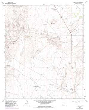 Panther Hill topo map