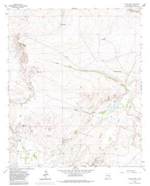 Coyote Draw USGS topographic map 33104f4