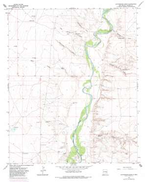 Cottonwood Draw topo map