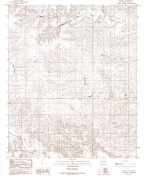 Flying H topo map
