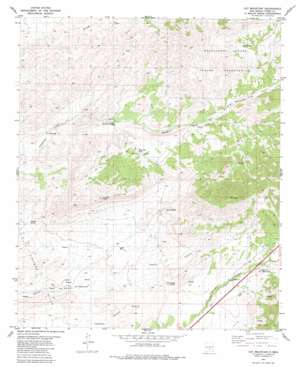 Cat Mountain USGS topographic map 33105b8