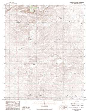 Nelson Canyon East topo map