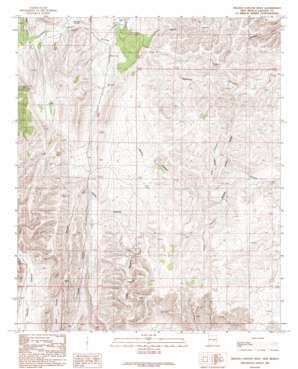 Nelson Canyon West topo map