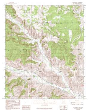San Patricio USGS topographic map 33105d3
