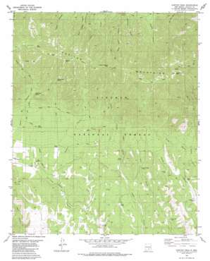 Capitan Peak USGS topographic map 33105e3