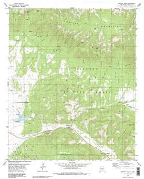 Capitan Pass USGS topographic map 33105e4