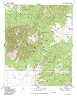 White Oaks South USGS topographic map 33105f6