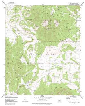White Oaks North USGS topographic map 33105g6