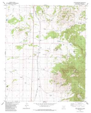Lone Mountain USGS topographic map 33105g7