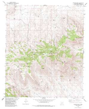 Salinas Peak USGS topographic map 33106c5