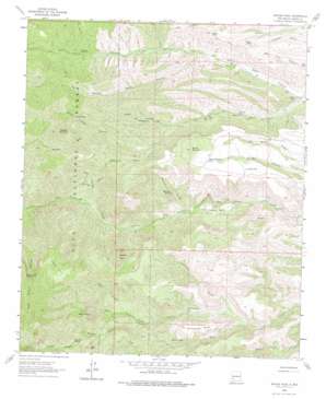 Apache Peak USGS topographic map 33107a6