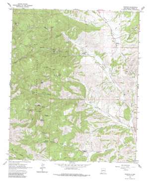 Thumb Tank Peak USGS topographic map 33107c6