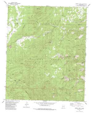 Sawmill Peak USGS topographic map 33107d7