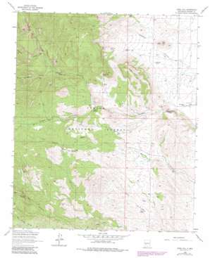 Steel Hill USGS topographic map 33107e3