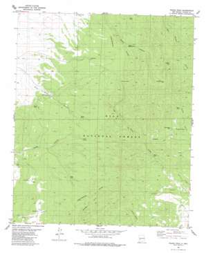 Wahoo Peak USGS topographic map 33107e7