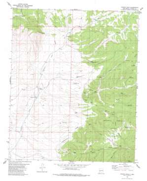 Paddys Hole USGS topographic map 33107f7