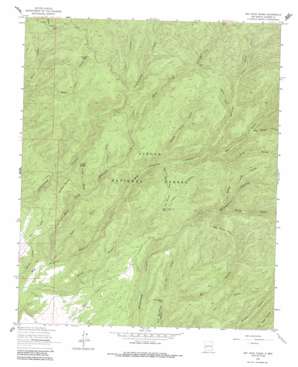 Bay Buck Peaks USGS topographic map 33107g5