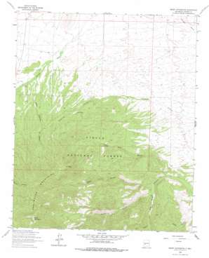 Mount Withington topo map