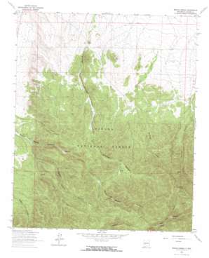Monica Saddle topo map