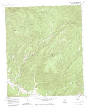 North Star Mesa USGS topographic map 33108a1