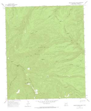 Mogollon Baldy Peak USGS topographic map 33108c5