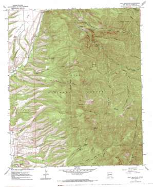 Holt Mountain topo map