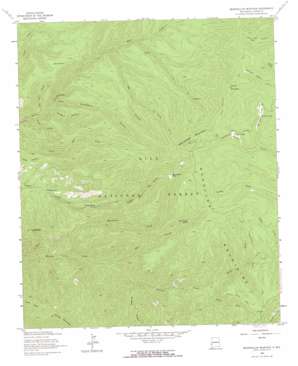 Bearwallow Mountain USGS topographic map 33108d6