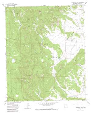 Organ Peak NW USGS topographic map 33108h8