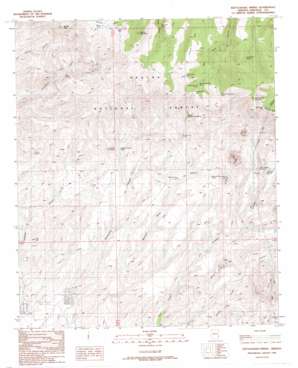 Rattlesnake Spring USGS topographic map 33109a2