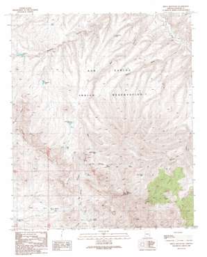 Bryce Mountain topo map