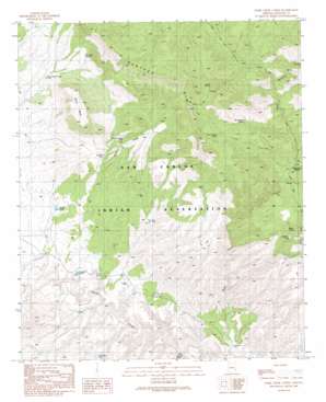 Park Creek Cabins USGS topographic map 33109b6