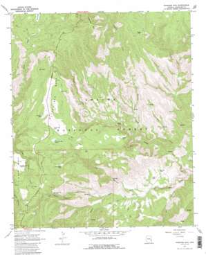 Pipestem Mountain USGS topographic map 33109c3