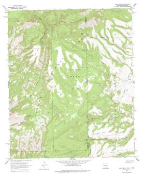 Alma Mesa USGS topographic map 33109d1