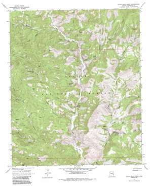 Dutch Blue Creek USGS topographic map 33109d2