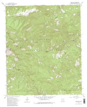 Rose Peak USGS topographic map 33109d3