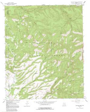 Robinson Mesa topo map