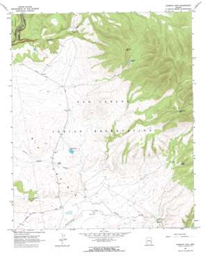 Sawbuck Mountain topo map