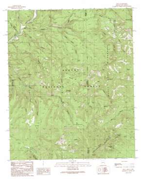Blue USGS topographic map 33109e1