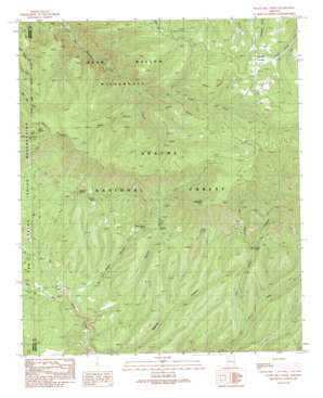 Robinson Mesa USGS topographic map 33109e4