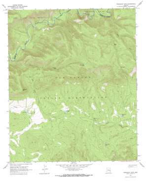 Freezeout Mountain USGS topographic map 33109e5