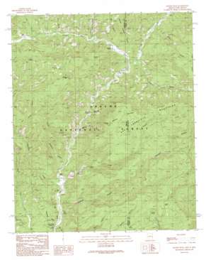 Maness Peak USGS topographic map 33109f1