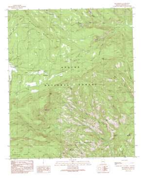 Beaverhead topo map