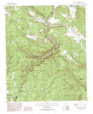 Buffalo Crossing USGS topographic map 33109g3