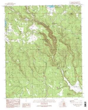 Big Lake South USGS topographic map 33109g4