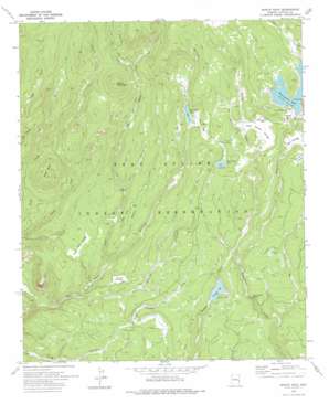 Bonito Rock USGS topographic map 33109g5