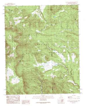 Escudilla Mountain USGS topographic map 33109h1