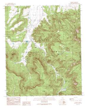 Nutrioso USGS topographic map 33109h2